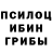 Галлюциногенные грибы мухоморы Ermek Orynkanov