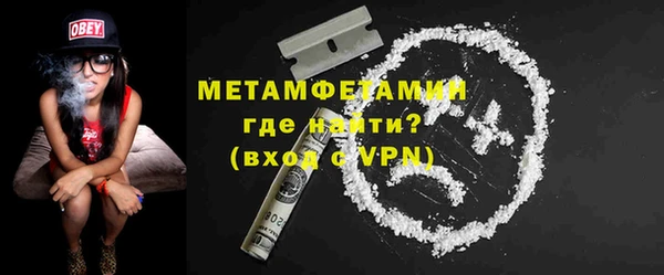 шишки Новозыбков