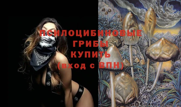 шишки Новозыбков