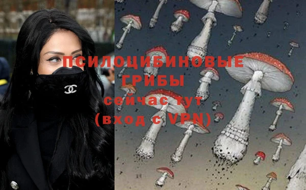 ECSTASY Нефтекумск