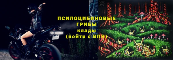ECSTASY Нефтекумск