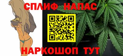индика Гай