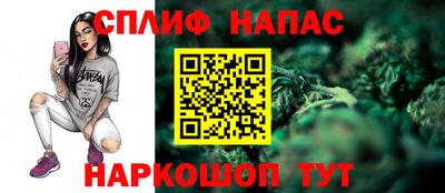 индика Гай