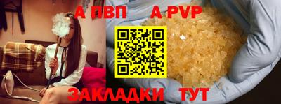 индика Гай