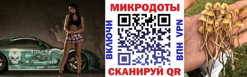 Галлюциногенные грибы прущие грибы  как найти наркотики  Набережные Челны 