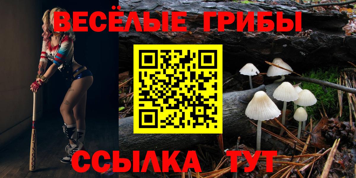 Псилоцибиновые грибы Magic Shrooms Набережные Челны