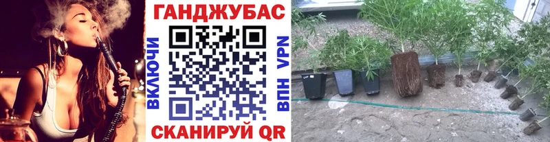 Канабис SATIVA & INDICA  где найти наркотики  Набережные Челны 